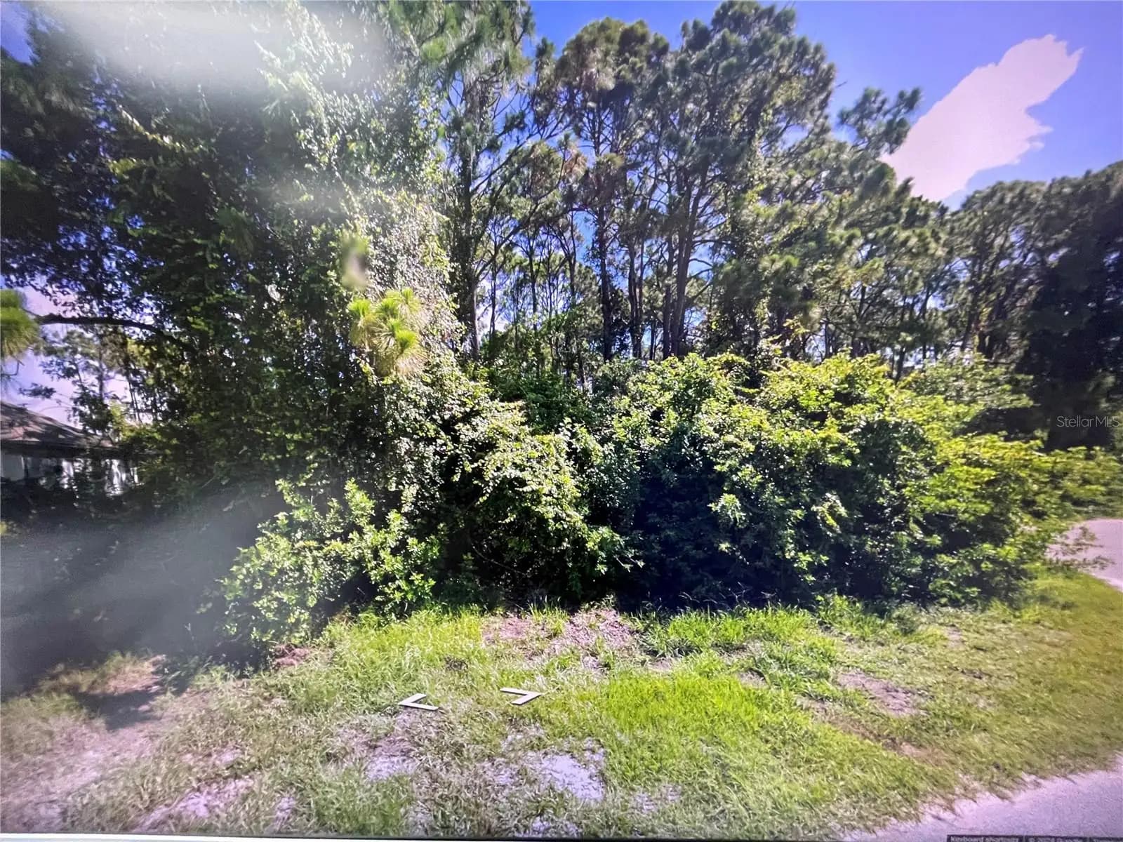 Listing photo