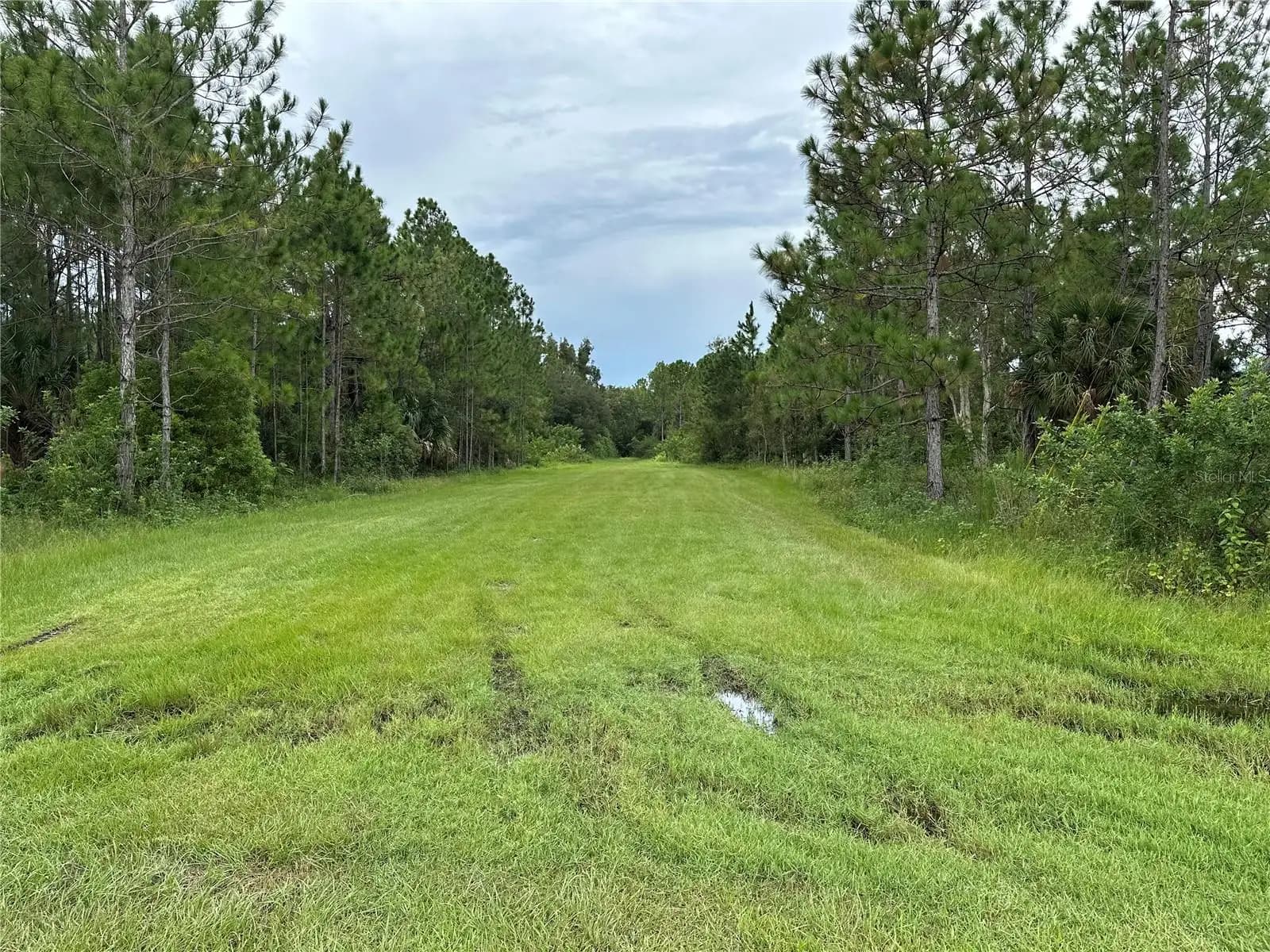 Listing photo