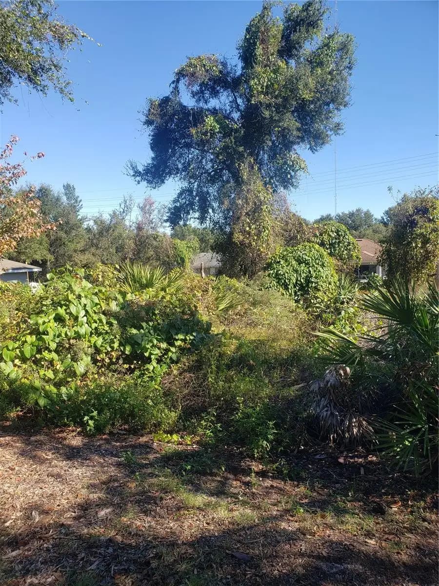 Listing photo