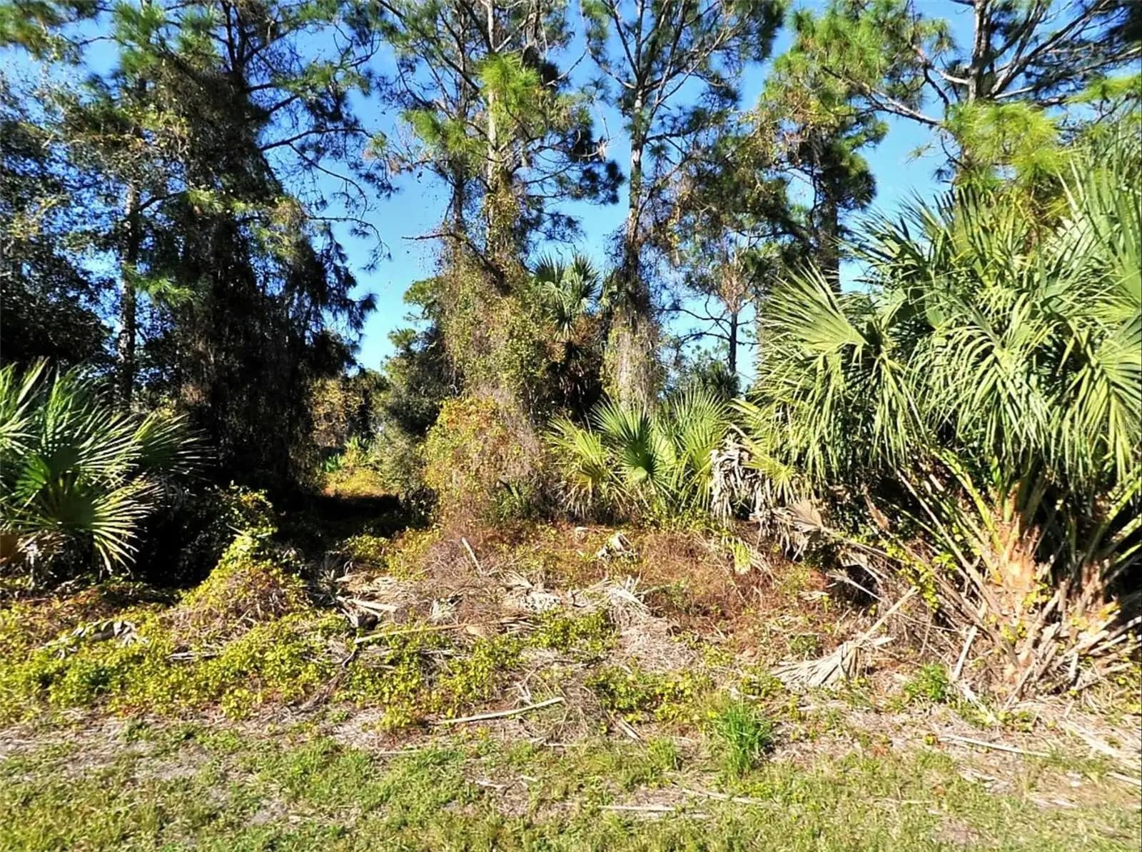 Listing photo