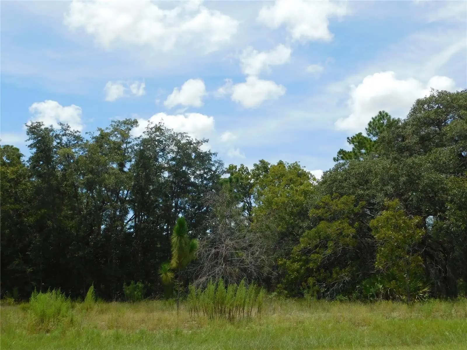 Listing photo