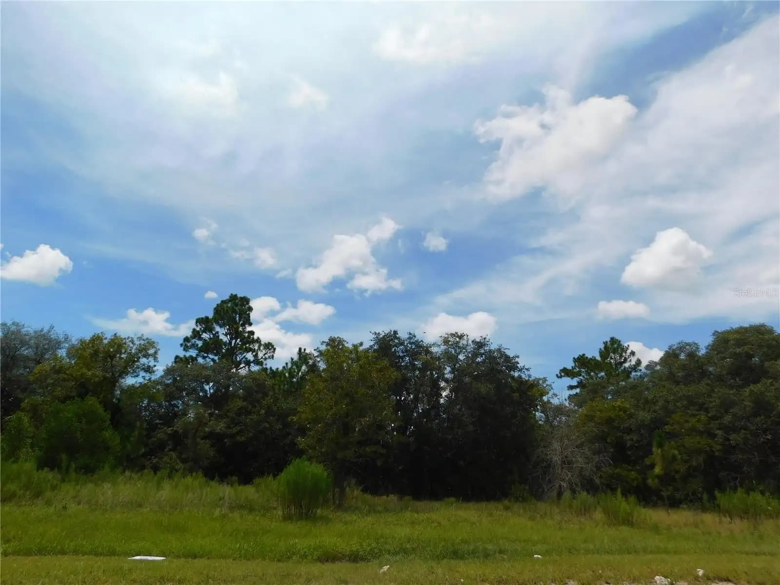 Listing photo
