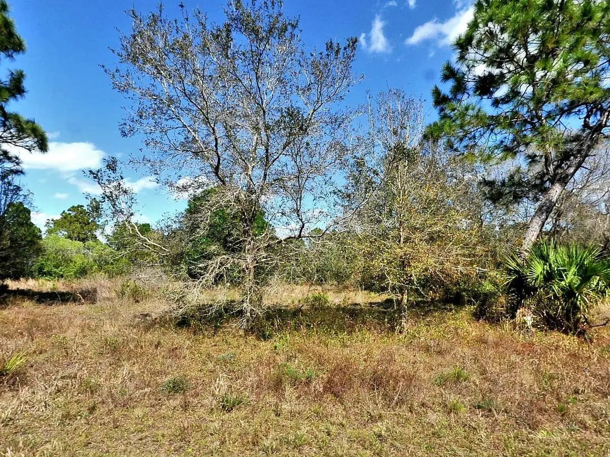 Listing photo