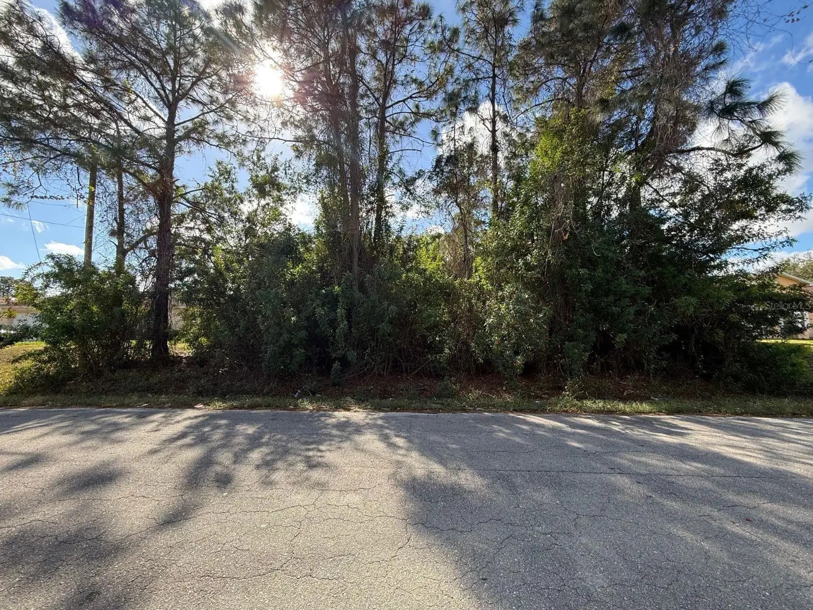 Listing photo