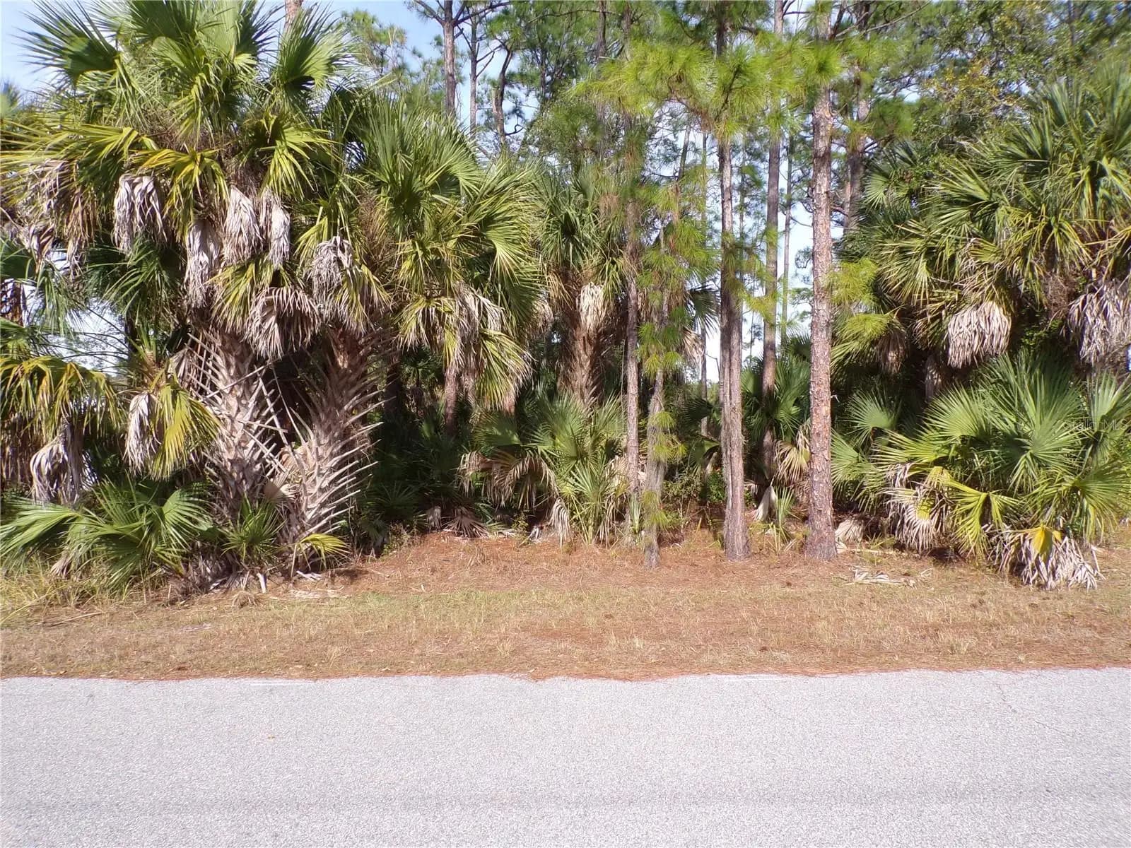 Listing photo