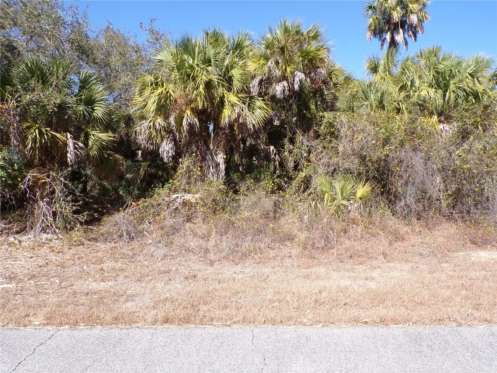Listing photo