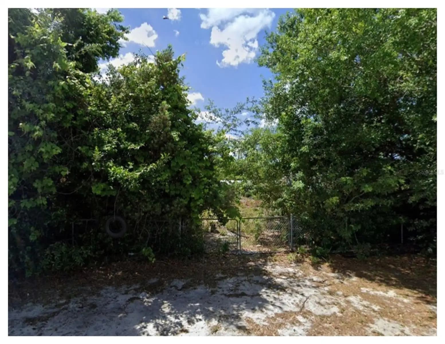 Listing photo