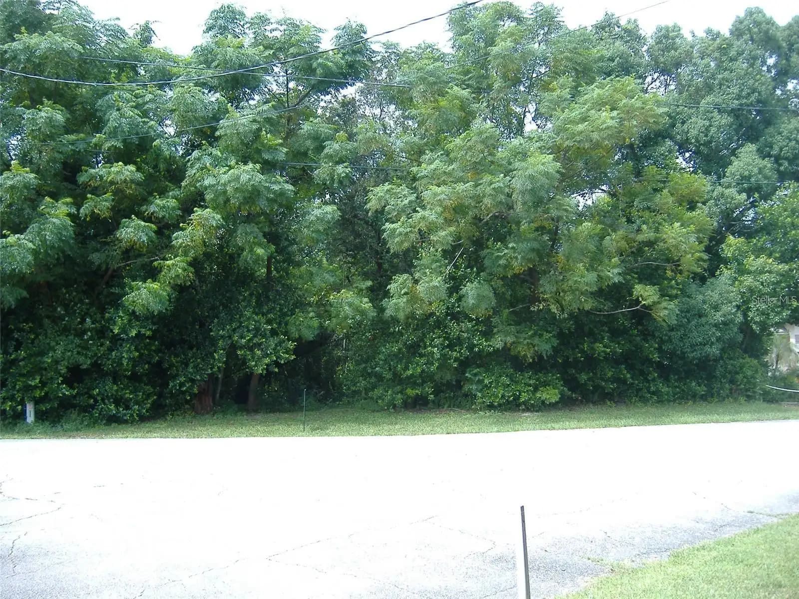 Listing photo