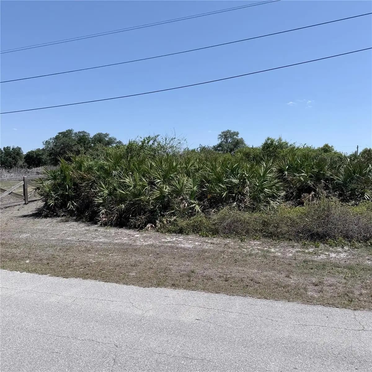 Listing photo