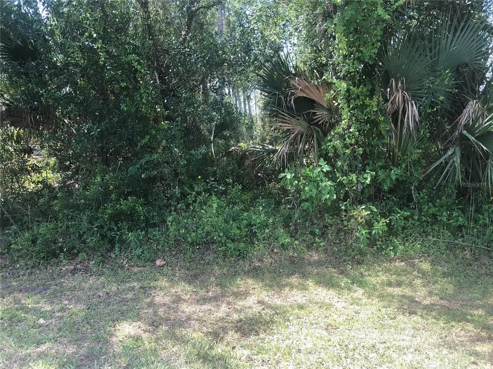 Listing photo