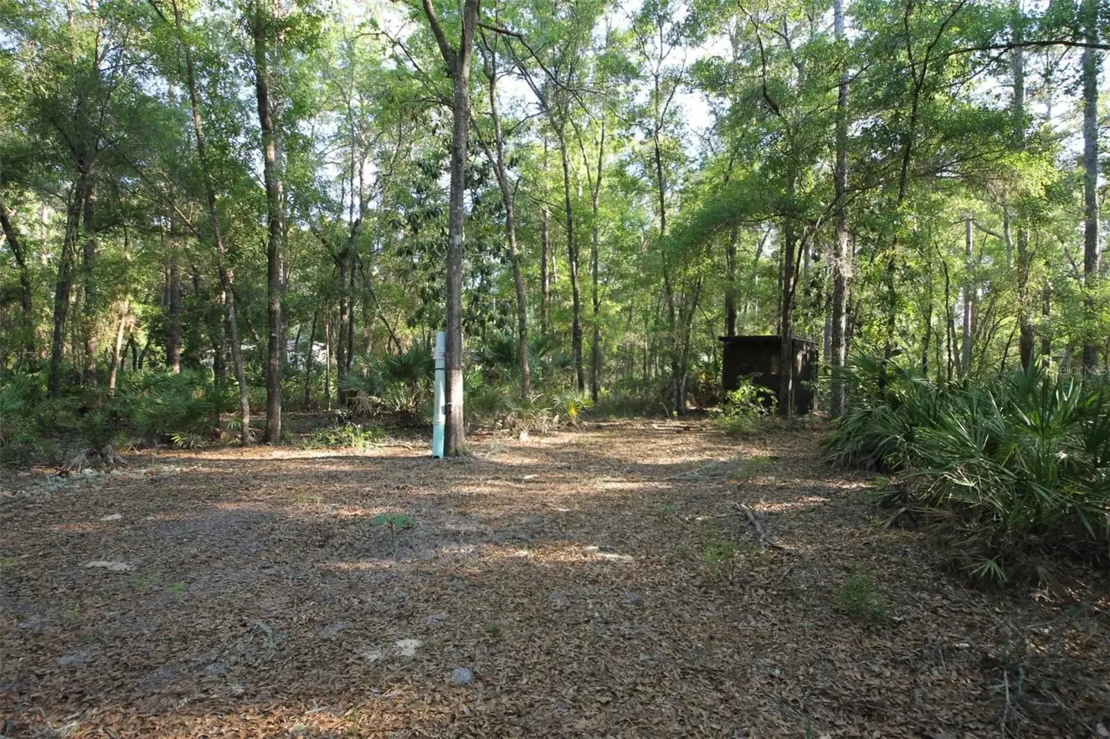 Listing photo
