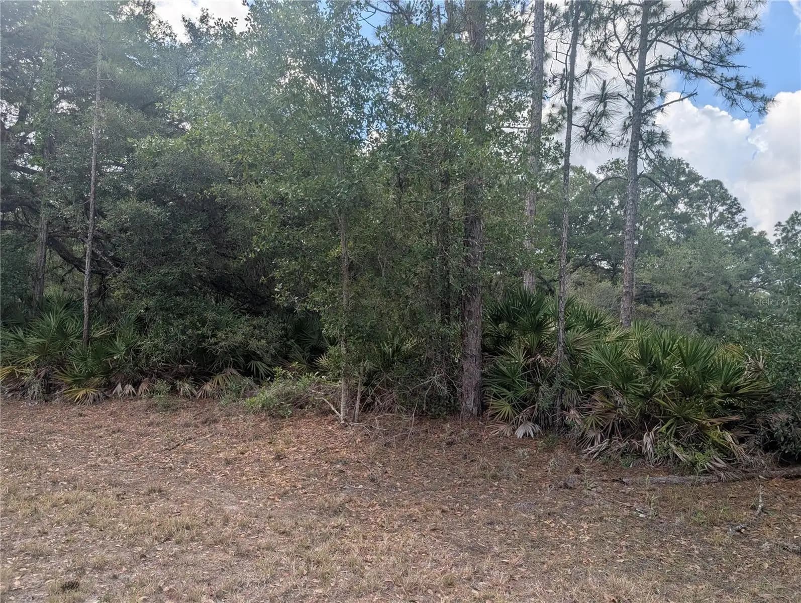 Listing photo