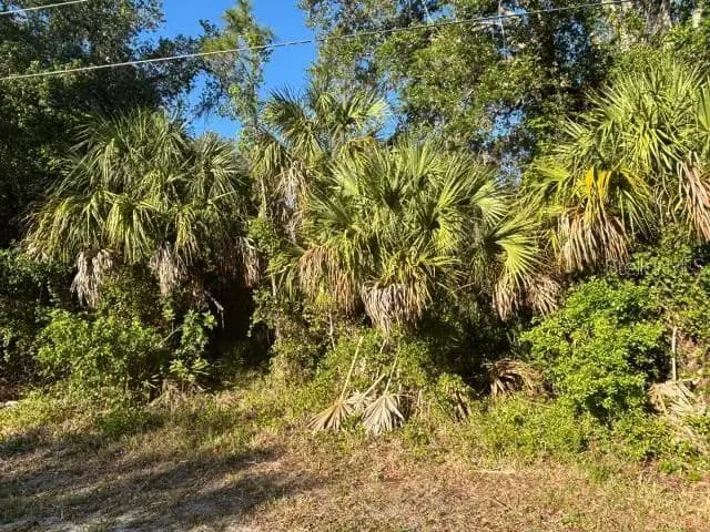 Listing photo