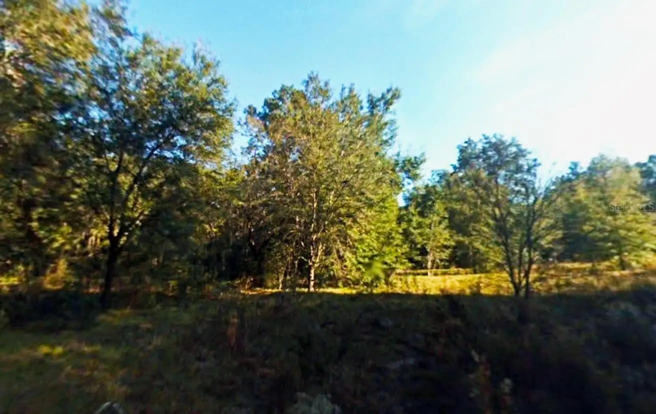 Listing photo