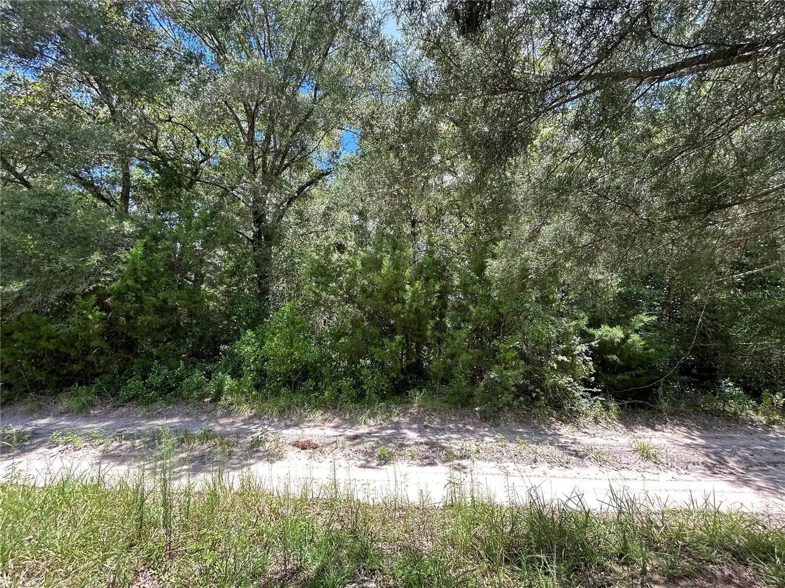 Listing photo
