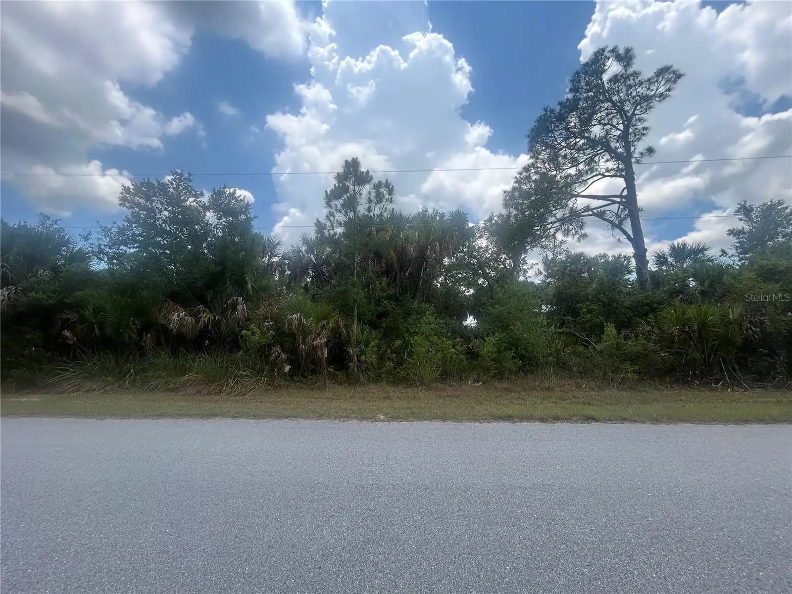 Listing photo