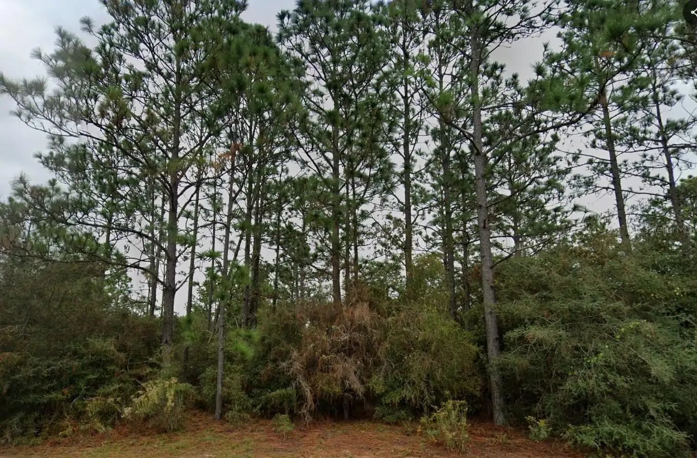 Listing photo