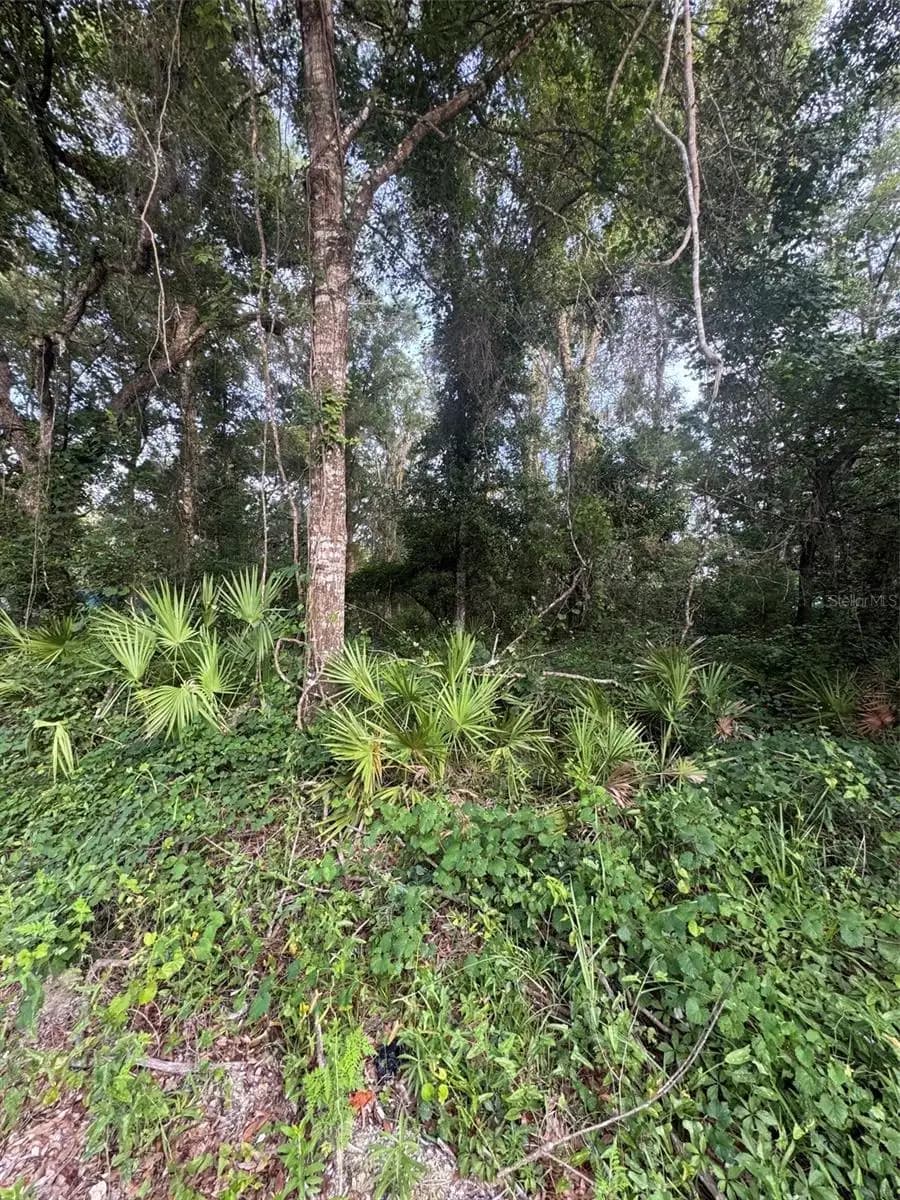 Listing photo