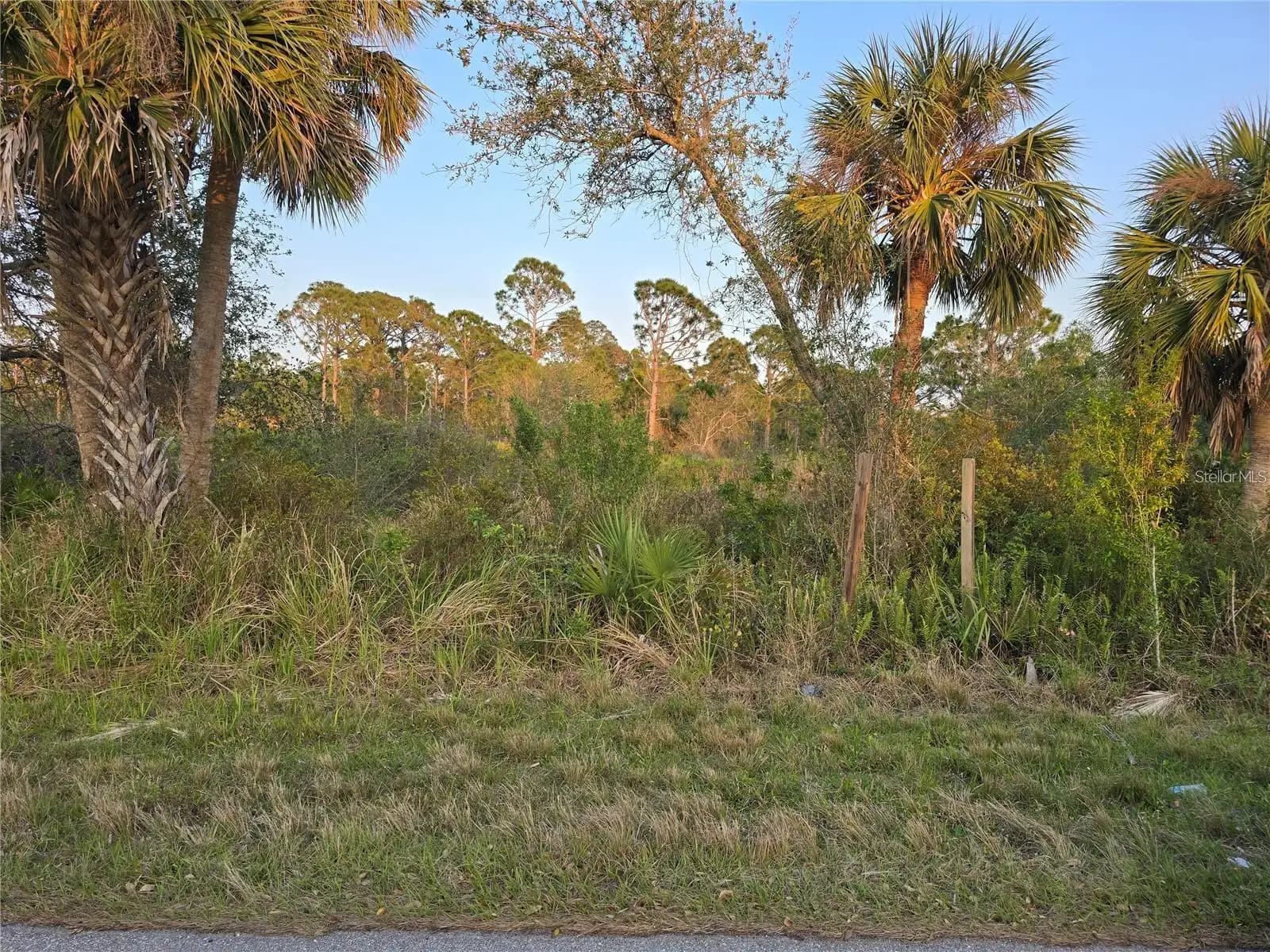 Listing photo
