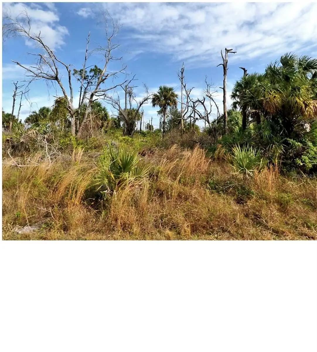 Listing photo