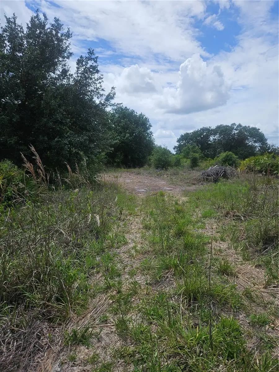 Listing photo