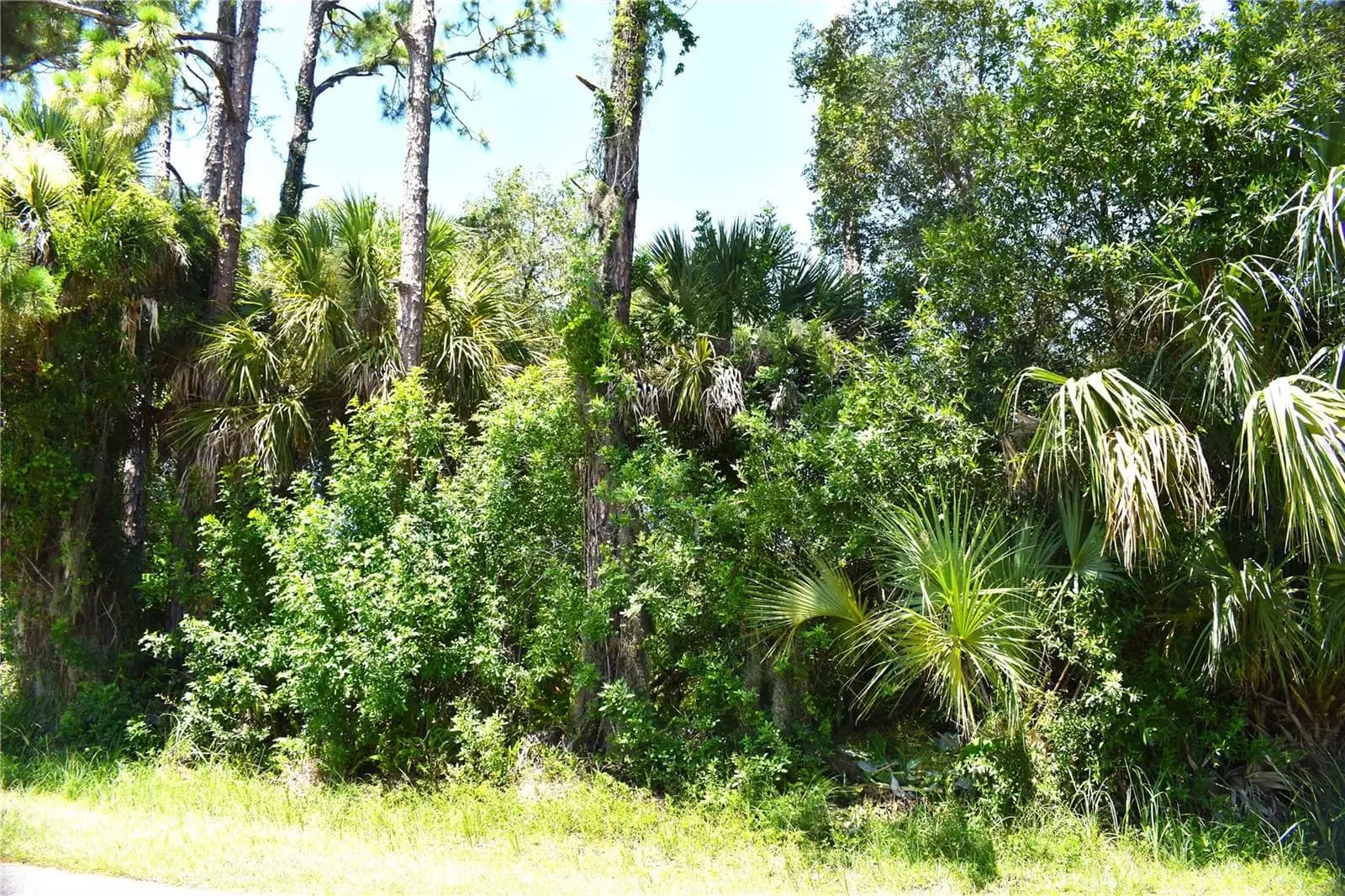 Listing photo