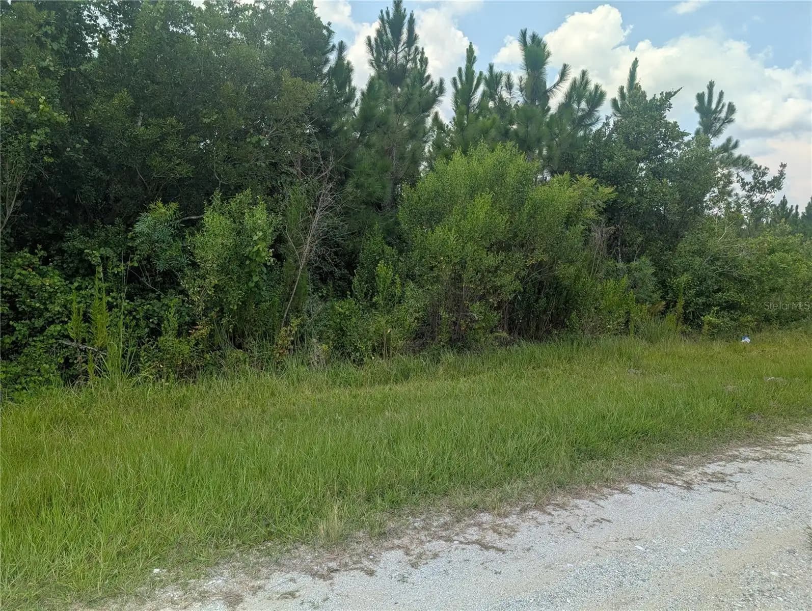 Listing photo