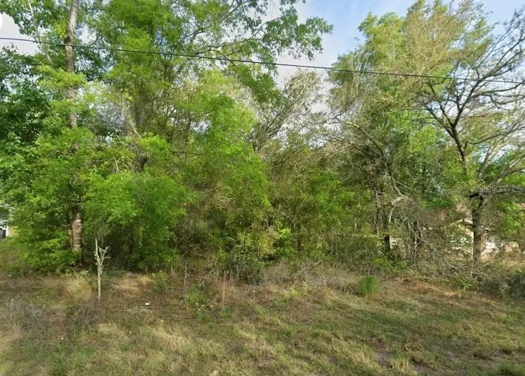 Listing photo