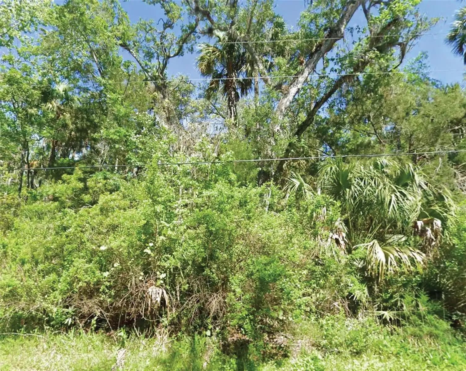 Listing photo