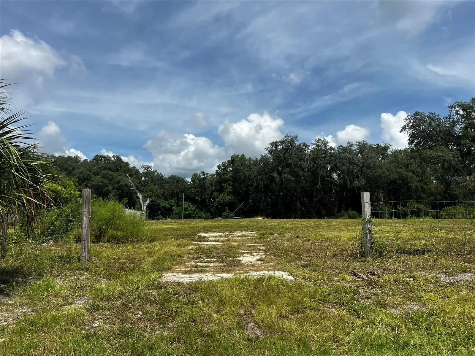 Listing photo