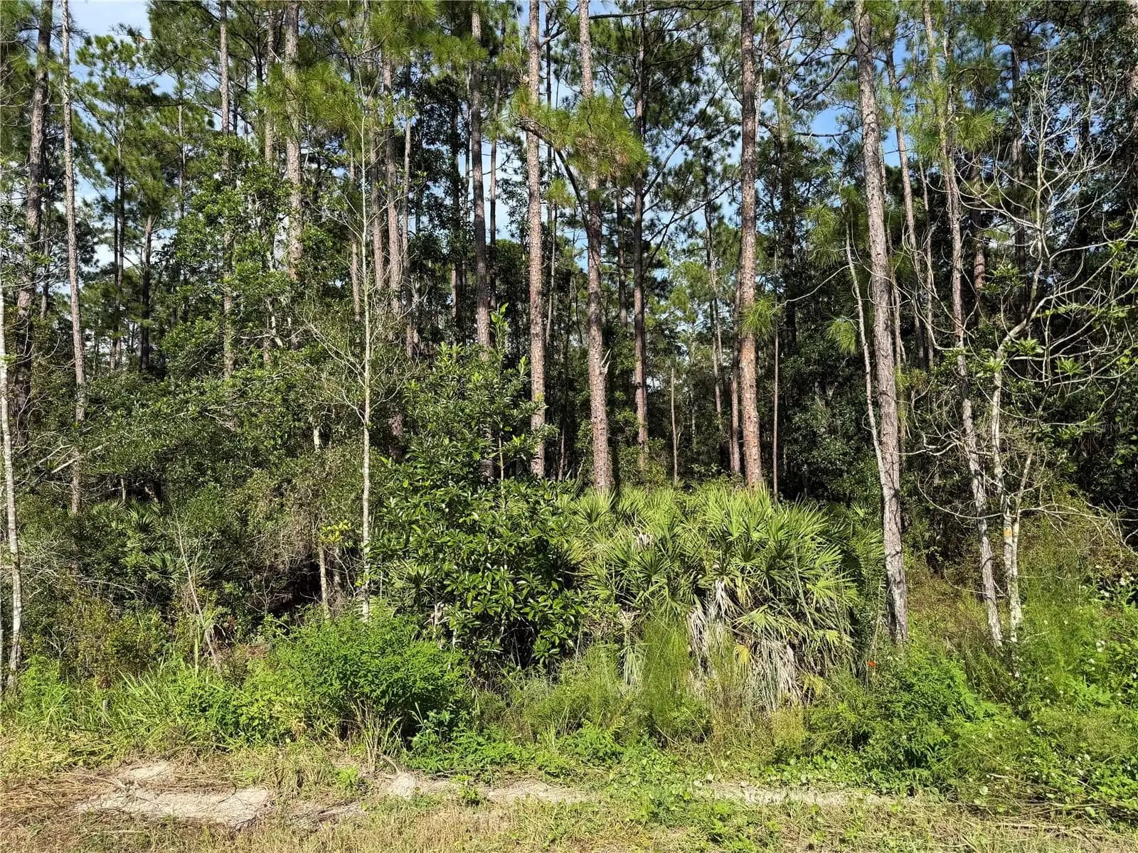Listing photo