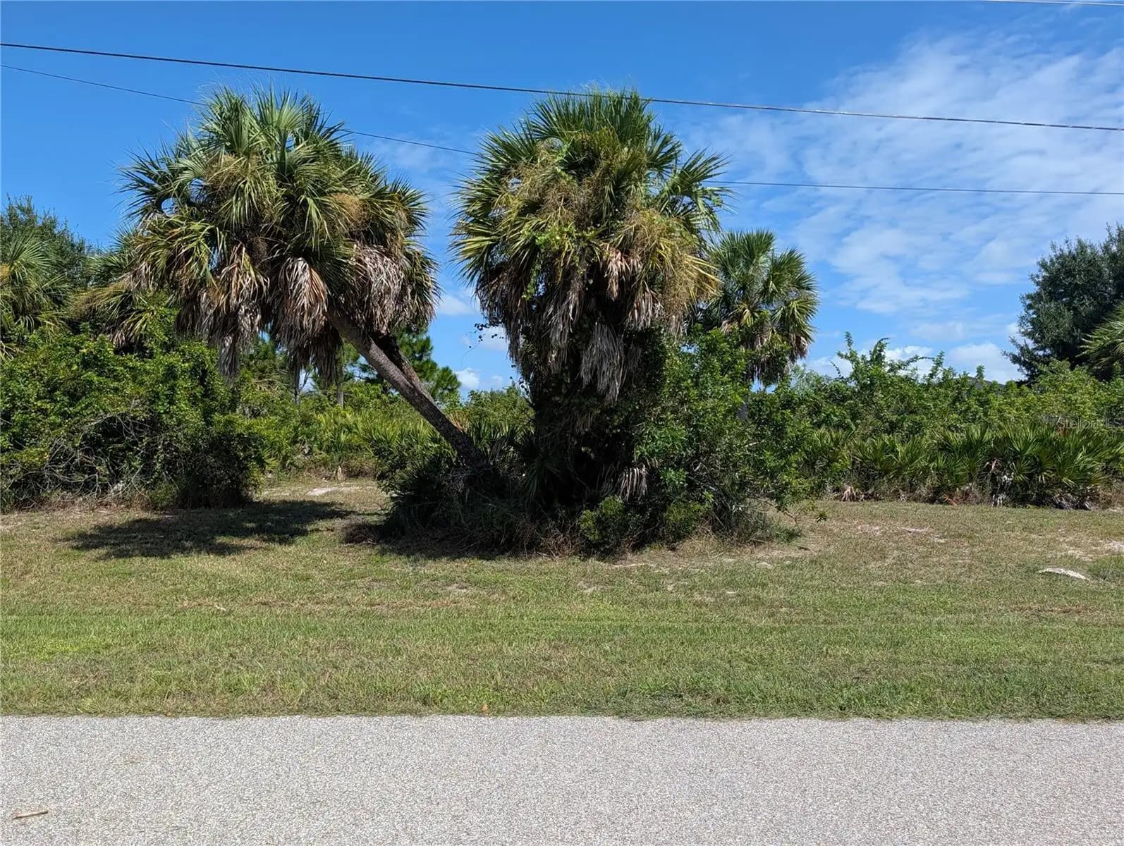 Listing photo