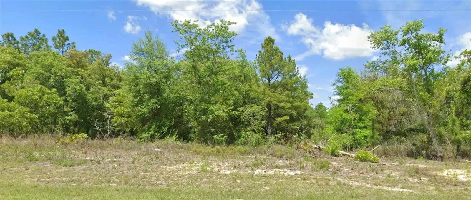 Listing photo
