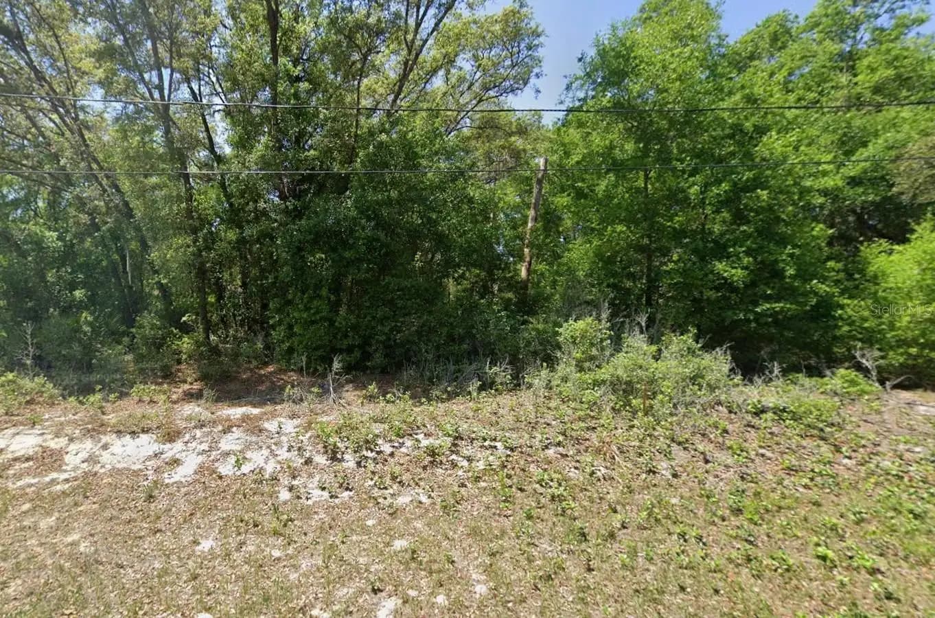 Listing photo