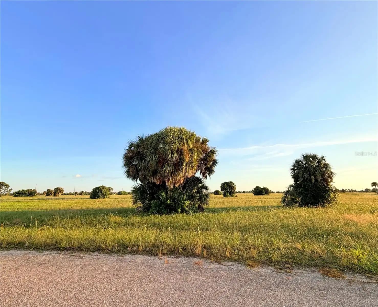 Listing photo