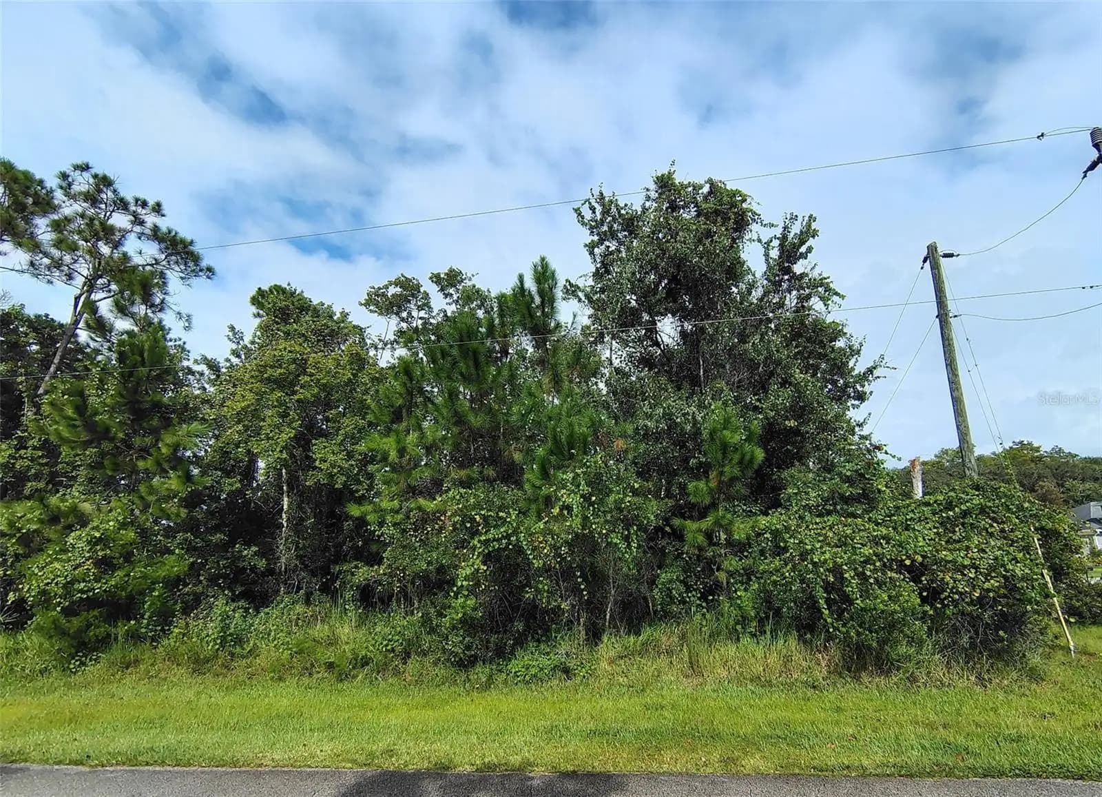 Listing photo