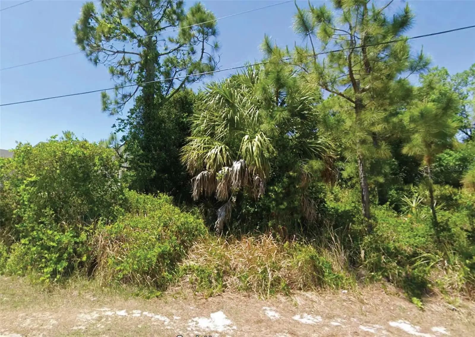Listing photo