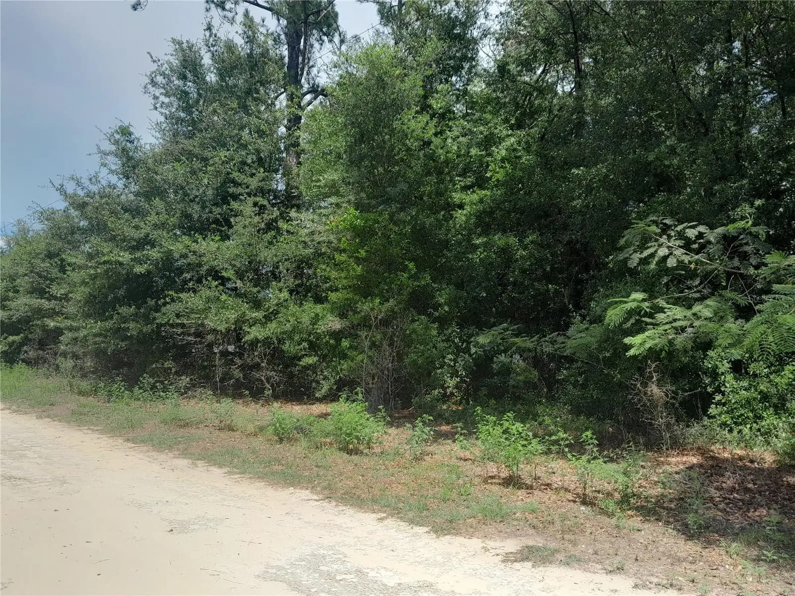 Listing photo