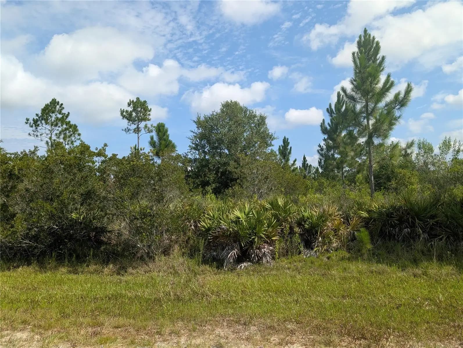 Listing photo