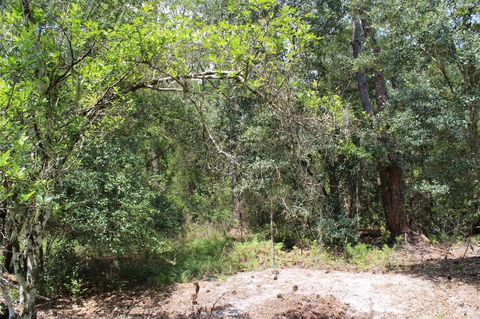 Listing photo