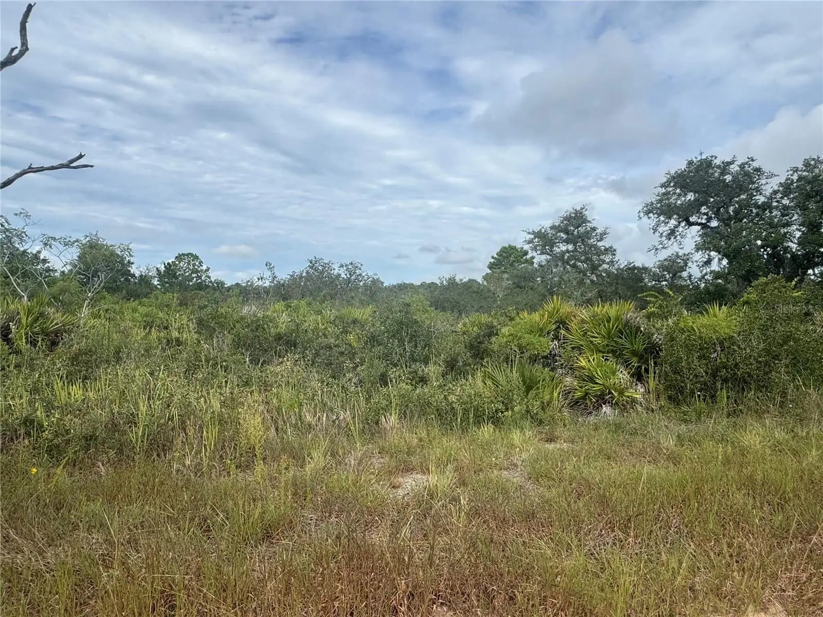 Listing photo
